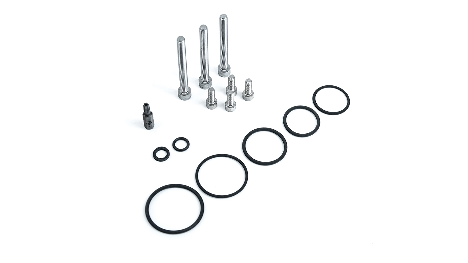 HPFP rebuild Kit