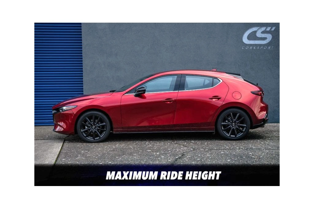 Unlike lowering springs, with coilovers you can tailor your ride height for your setup.