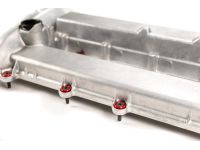 Choose between raw stainless bolts or black stainless bolt